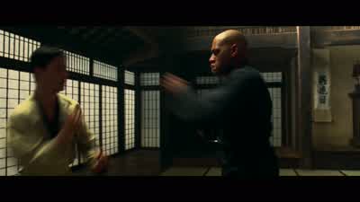 Jesus Christ, he's fast! - The Matrix