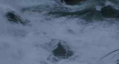 Jesus, Mary and Joseph! - A River Runs Through It