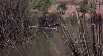 Jesus! Unit two. - Swamp Thing