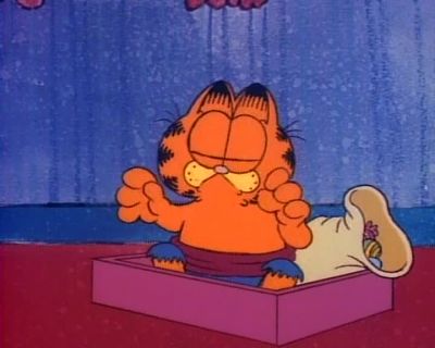 What a night - Garfield in Disguise