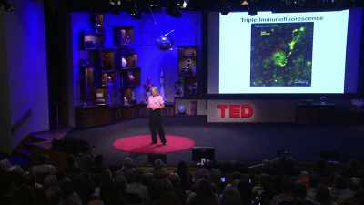 Jill Bolte Taylor is a
neuroanatomist and someone - The Divided Brain