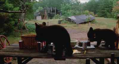- [Jim] And where do
you think you're going? - A Breed Apart