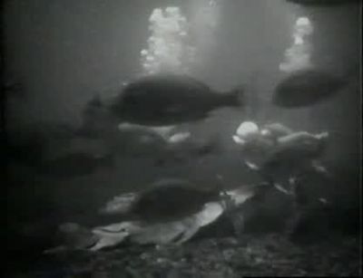 Jim you don't know what's down there - Attack of the Crab Monsters