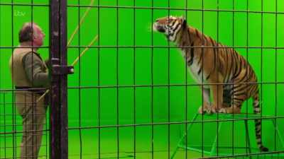 'Jim was keen for me to get close
to animals without bars...' - Britain's Tiger Kings - On the Trail with Ross Kemp