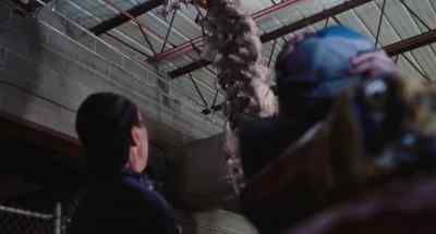 JIM: Shit! Oh, shit! - The Mist