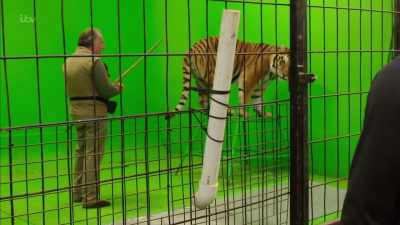 'Jim wanted to demonstrate
the extent to which he could control - Britain's Tiger Kings - On the Trail with Ross Kemp