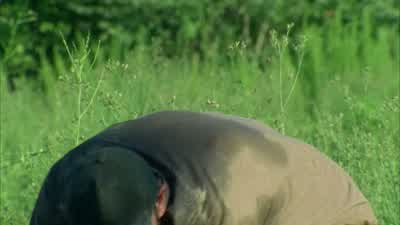 Jim? You okay? - The Walking Dead