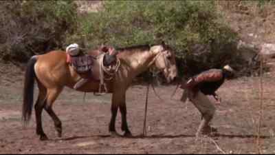 Jimmy Wolf! - One Little Indian