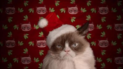 Jingle bells Christmas smells - Grumpy Cat's Worst Christmas Ever