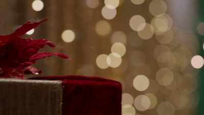 ♪ Jingle bells, jingle bells ♪ - Merry Magic Christmas