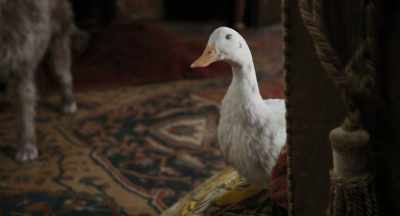 - (Jip whines)
- (Dab-Dab quacks) - Dolittle