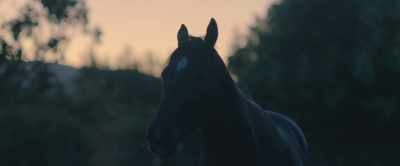 [Jo grunts] - Black Beauty