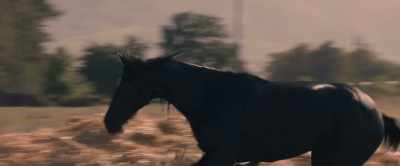[Jo] Whoa! [grunts] - Black Beauty