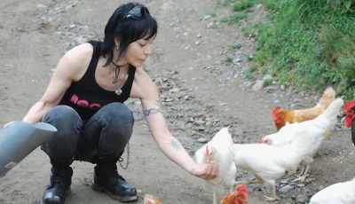 JOAN: (ON PHONE)
Chickens recognize each other - Bad Reputation