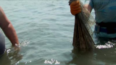 JOB WELL-DONE. - Dirty Jobs