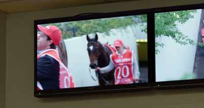 Jockeys to the mounting yard now. - Ride Like a Girl