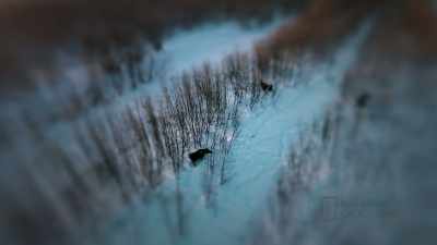 JODY: We as native people, know
the best use for the animals, - Life Below Zero: First Alaskans