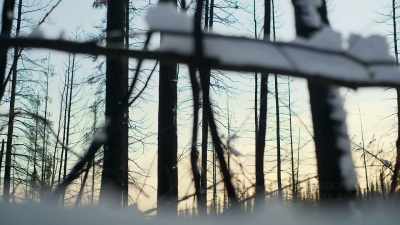 JODY: We're just throwing
this together - Life Below Zero: First Alaskans