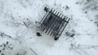 JODY: Yeah, women rule.
No. (laughs) - Life Below Zero: First Alaskans