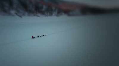 JODY: You always have
to be cautious and - Life Below Zero: First Alaskans