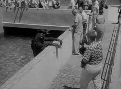 - Joe, look, he's climbing out.
- Look out, Joe. - Revenge of the Creature
