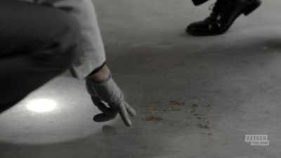 - Joe: We were able to
identify it as human blood. - Black Widow Murders