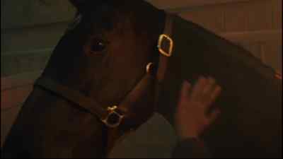 JOE: Whoa, Beauty. I'm here. - Black Beauty