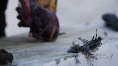 JOEL: The most important
value I would like to instill - Life Below Zero: First Alaskans