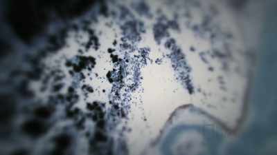 JOEL: Try to fight
Mother Nature, - Life Below Zero: First Alaskans
