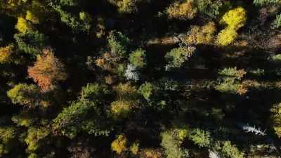 JOEL: Wood out here
is a continual chore. - Life Below Zero: First Alaskans