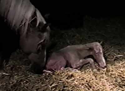 John was born in Mary's stable
just about a year ago. - Being Mary Tyler Moore
