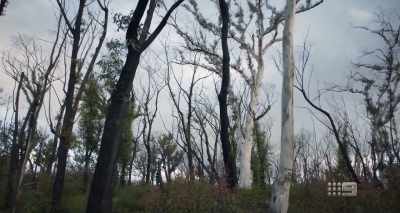 JOHN BROGDEN: 20, 30 years ago, - A Fire Inside