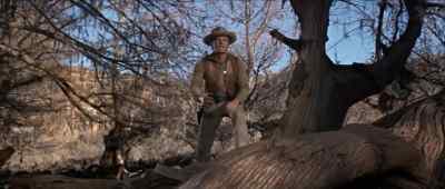 John Elder, throw me a gun.
I'll help you. - The Sons of Katie Elder