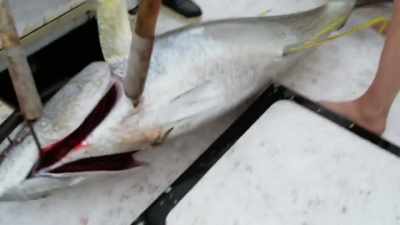 [john grunts] - Deadliest Catch: Bloodline