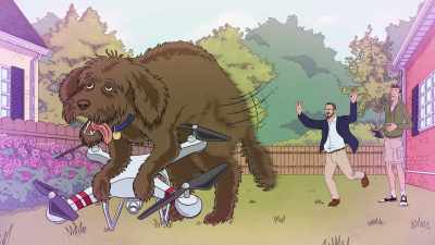 JOHN: My parents' labradoodle. - Dicktown