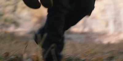 JOHN: Okay. - Yellowstone