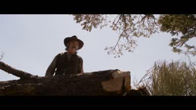 John, this tree didn't fall down. - A Million Ways to Die in the West