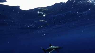 [john]  wow!  [blee] - Deadliest Catch: Bloodline