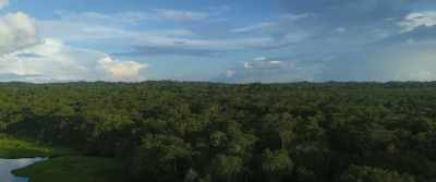 (Johnathan): The challenge
of how to deal - The Last Tourist