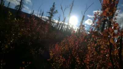 JOHNNY: Out here, in nature,
everything is soft edges, - Life Below Zero: Next Generation
