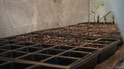 Johnny usually takes his time
in any pepper garden, - Superhot: The Spicy World of Pepper People