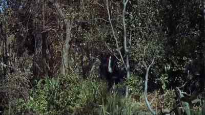 Johnny... you'd better come with me - Raintree County