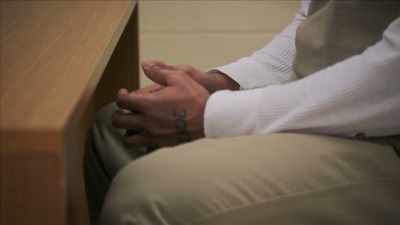 JOHNSON:
The vicious thing - Mysteries of Mental Illness