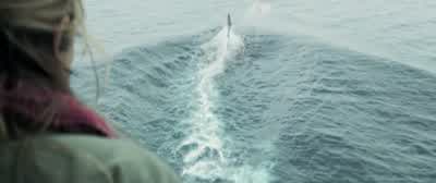 Jonas, what's going on down there? - The Meg