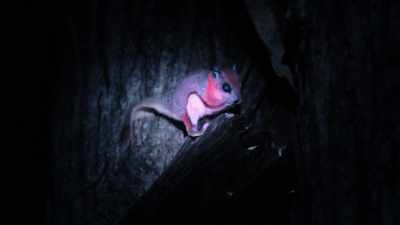 JONATHAN: It's amazing,
how a little trick like this with UV light - Welcome to Earth