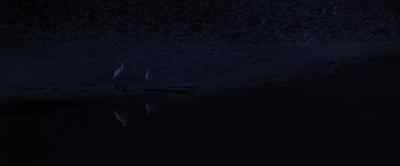 Jonathan? - Jonathan Livingston Seagull
