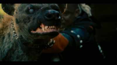 Jonga, it's feeding time. - iNumber Number: Jozi Gold