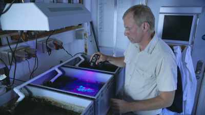 Jorg is studying how this works. - Attenborough's Life in Colour