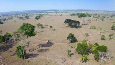 JOSé BELIEVES THERE
IS MORE TO DISCOVER - Lost Cities of the Amazon