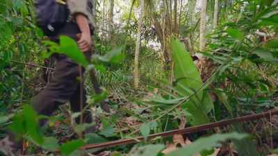 JOSé HAS MADE
A BRAND NEW DISCOVERY. - Lost Cities of the Amazon